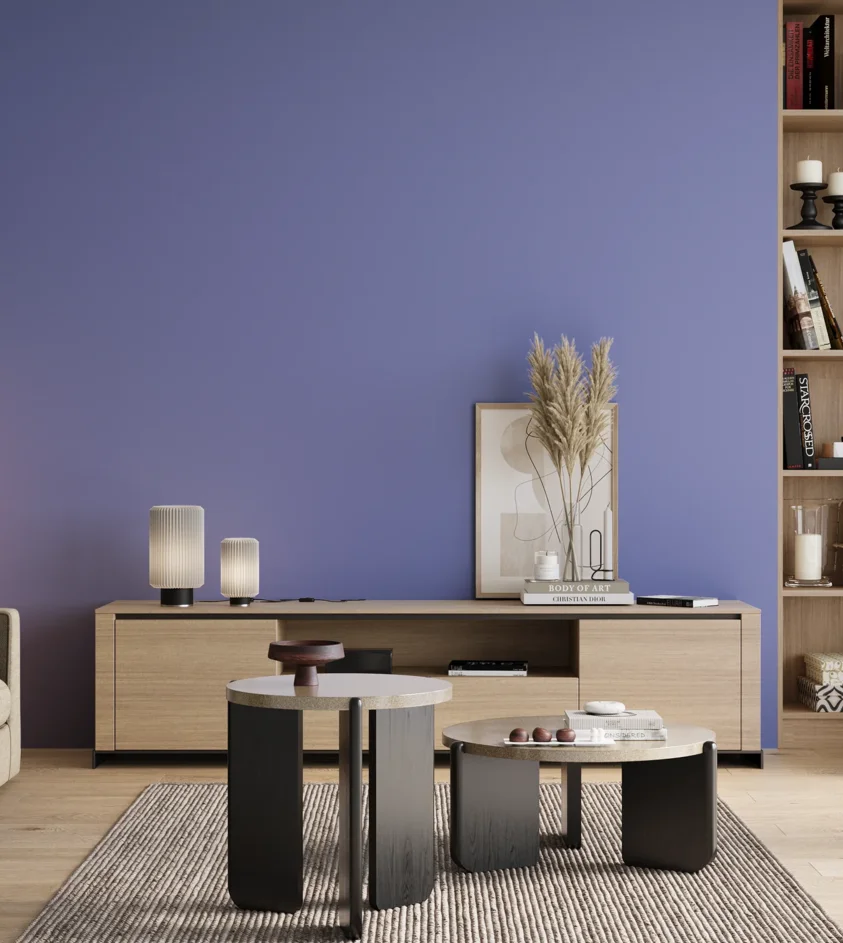 P10_SNIEZKA_salon_00_neutral_GREY_S1550-R70B