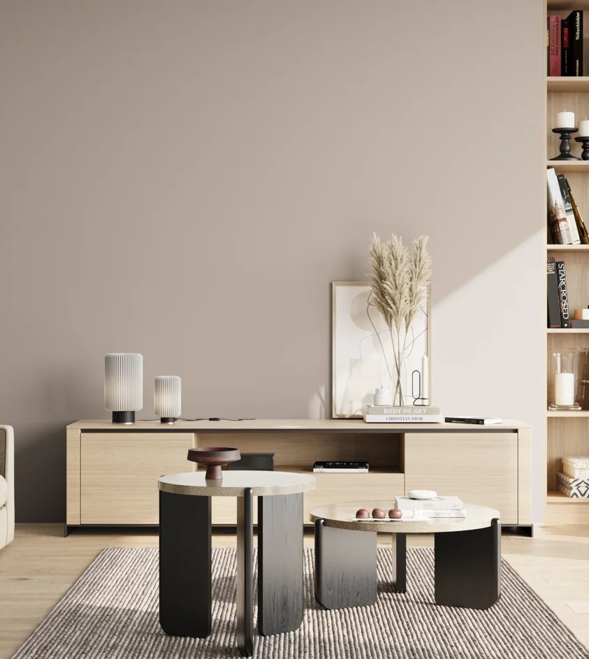 P10_SNIEZKA_salon_02_poludnie_GREY_S2005-Y90R