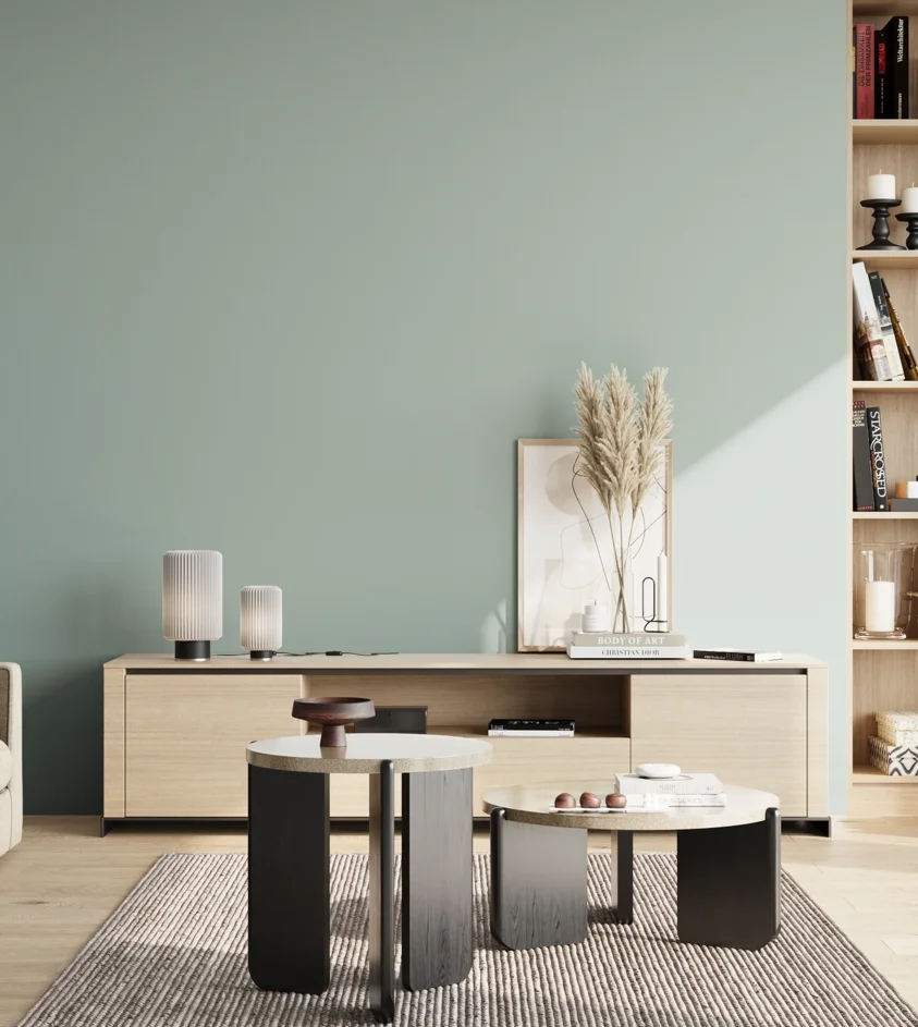 P10_SNIEZKA_salon_02_poludnie_GREY_S2010-B70G