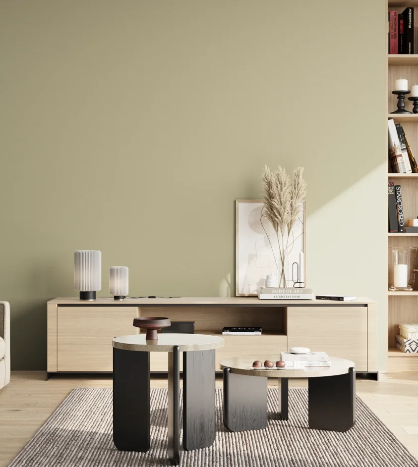 P10_SNIEZKA_salon_02_poludnie_GREY_S2010-G80Y