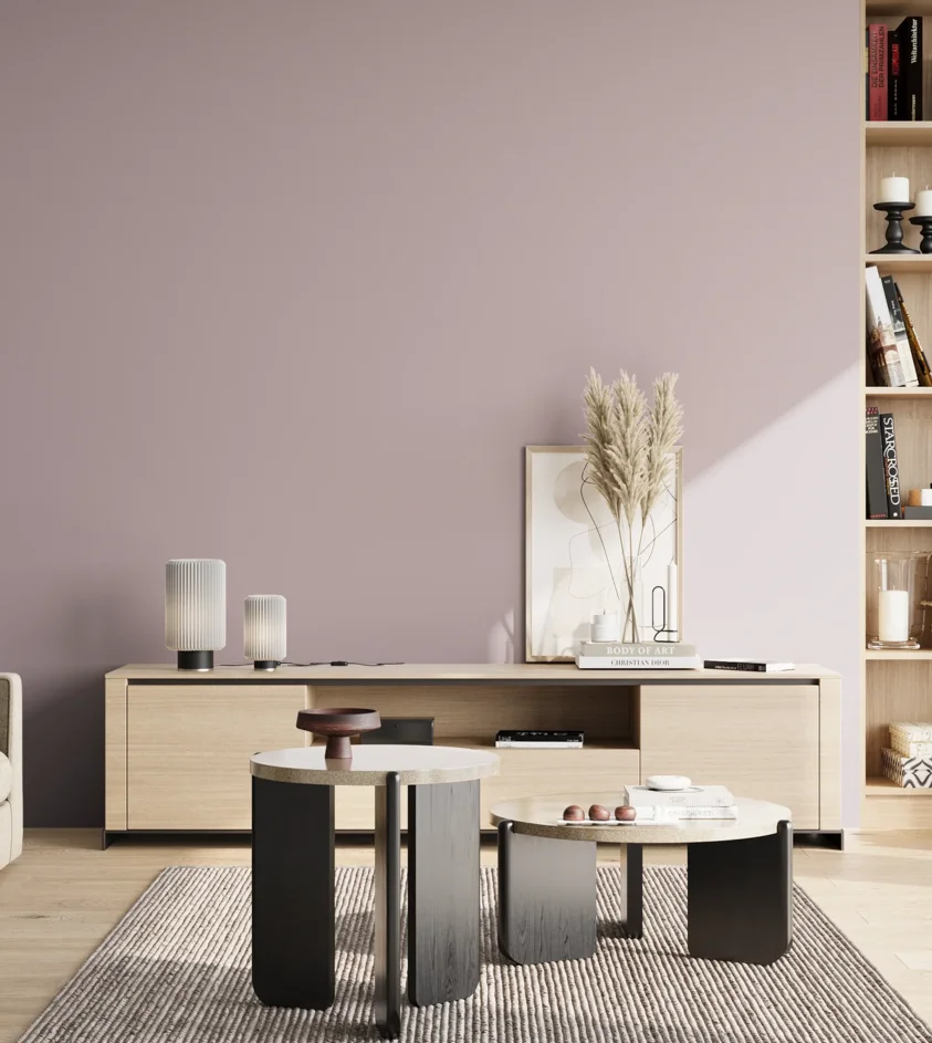 P10_SNIEZKA_salon_02_poludnie_GREY_S2010-R30B