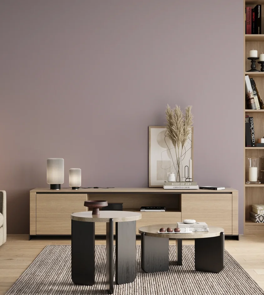 P10_SNIEZKA_salon_00_neutral_GREY_S2010-R40B