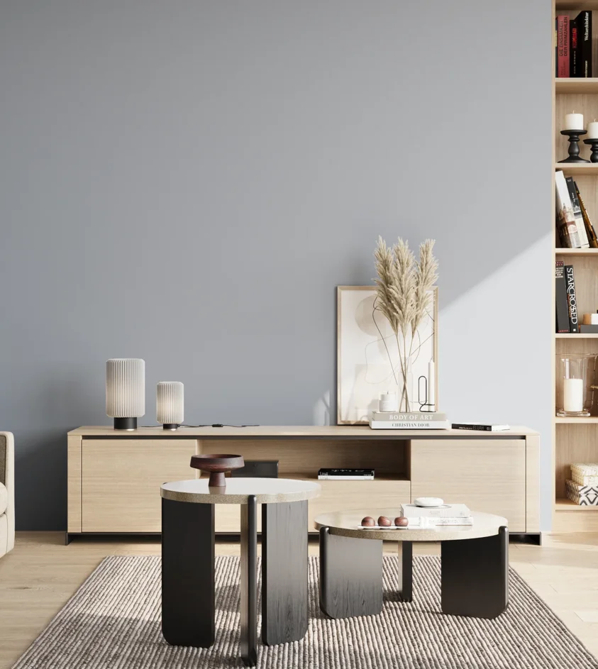 P10_SNIEZKA_salon_02_poludnie_GREY_S2010-R80B