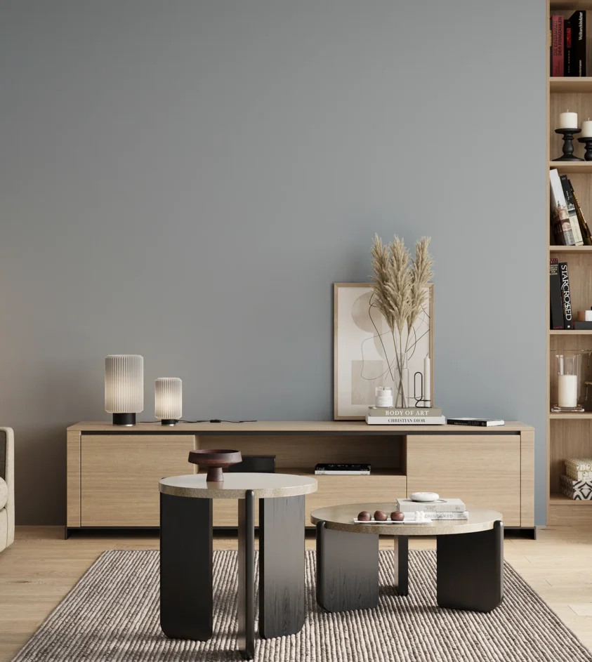 P10_SNIEZKA_salon_00_neutral_GREY_S2010-R90B