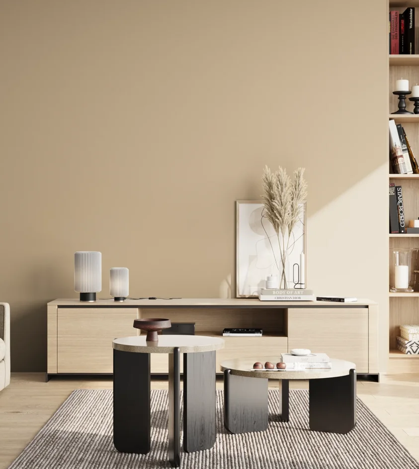 P10_SNIEZKA_salon_02_poludnie_GREY_S2010-Y30R