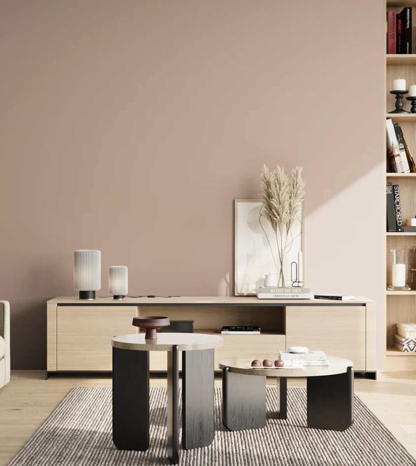 P10_SNIEZKA_salon_02_poludnie_GREY_S2010-Y80R
