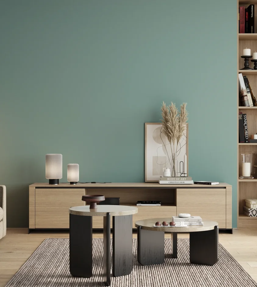 P10_SNIEZKA_salon_00_neutral_GREY_S2020-B50G