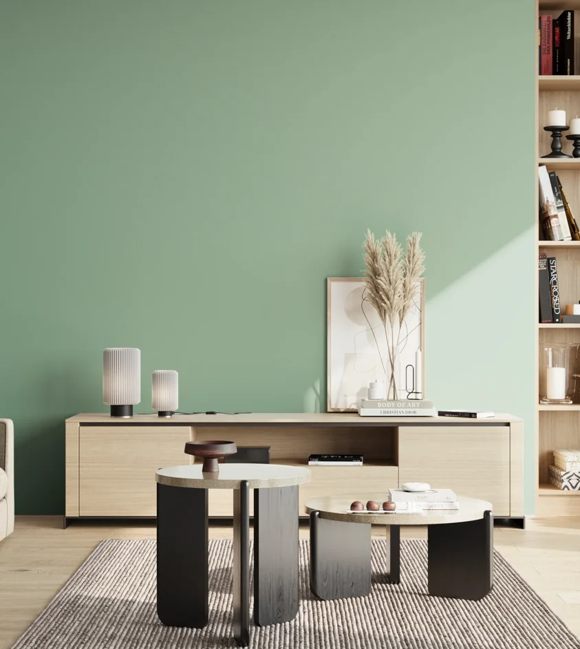 P10_SNIEZKA_salon_02_poludnie_GREY_S2020-G