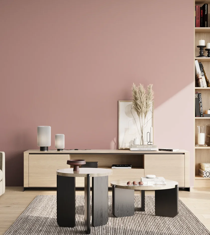 P10_SNIEZKA_salon_02_poludnie_GREY_S2020-R
