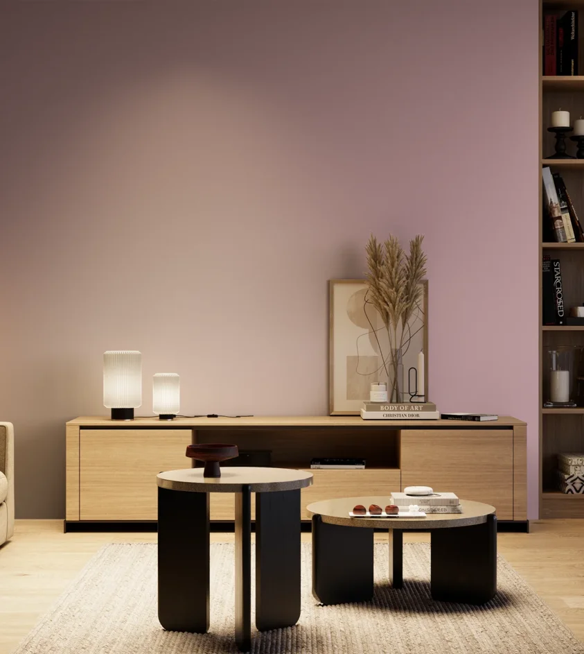 P10_SNIEZKA_salon_04_cieple_GREY_S2020-R30B