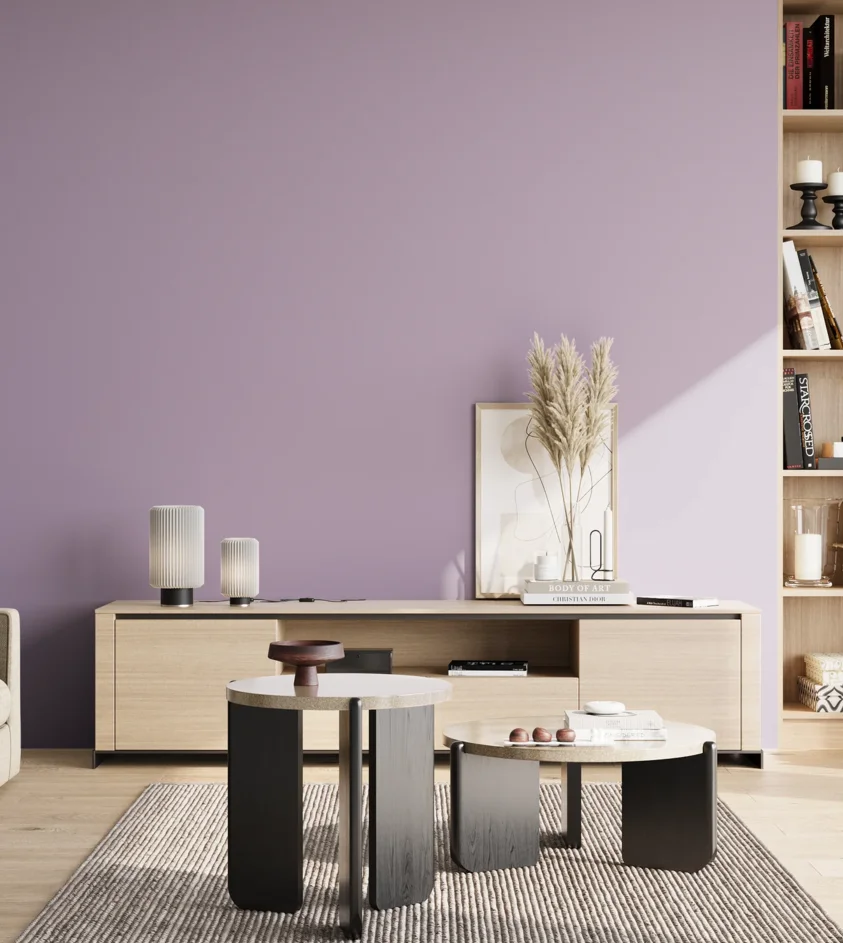 P10_SNIEZKA_salon_02_poludnie_GREY_S2020-R50B