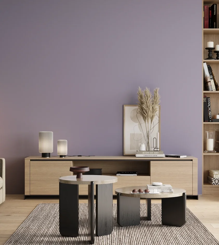P10_SNIEZKA_salon_00_neutral_GREY_S2020-R60B