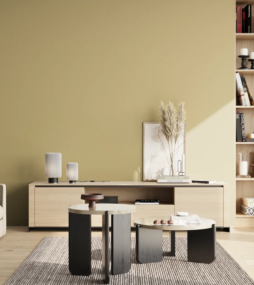 P10_SNIEZKA_salon_02_poludnie_GREY_S2020-Y