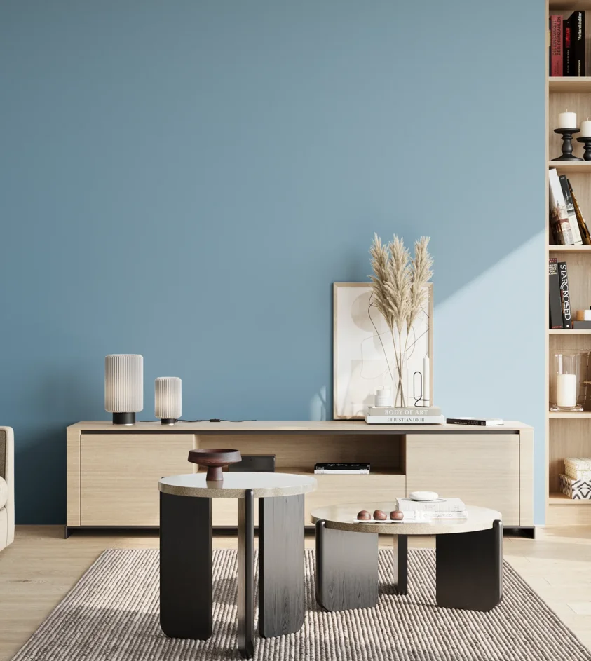 P10_SNIEZKA_salon_02_poludnie_GREY_S2030-B