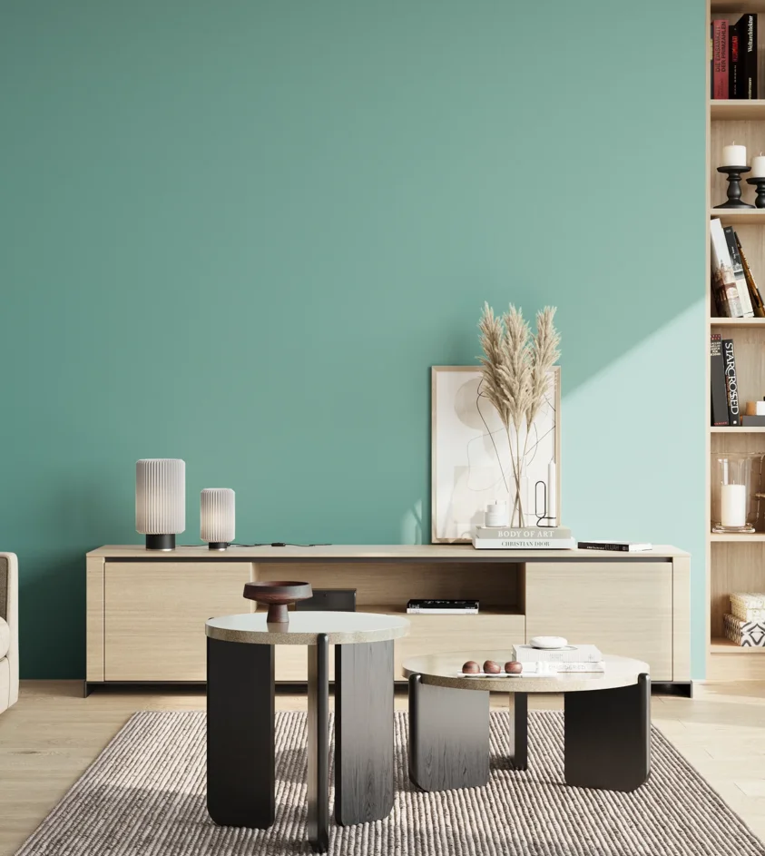 P10_SNIEZKA_salon_02_poludnie_GREY_S2030-B60G