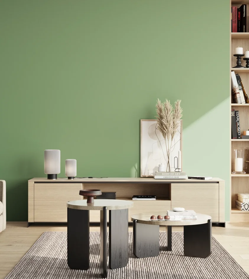 P10_SNIEZKA_salon_02_poludnie_GREY_S2030-G20Y
