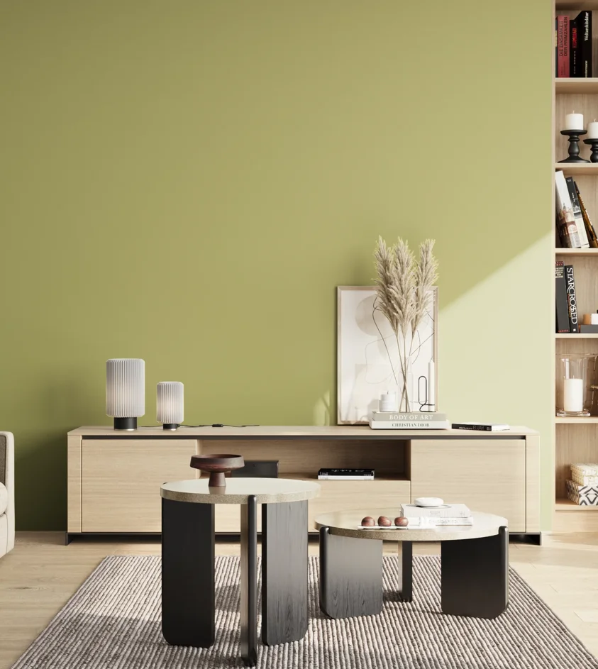 P10_SNIEZKA_salon_02_poludnie_GREY_S2030-G70Y