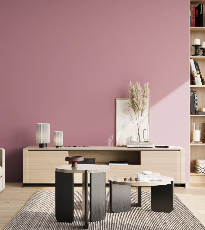 P10_SNIEZKA_salon_02_poludnie_GREY_S2030-R20B