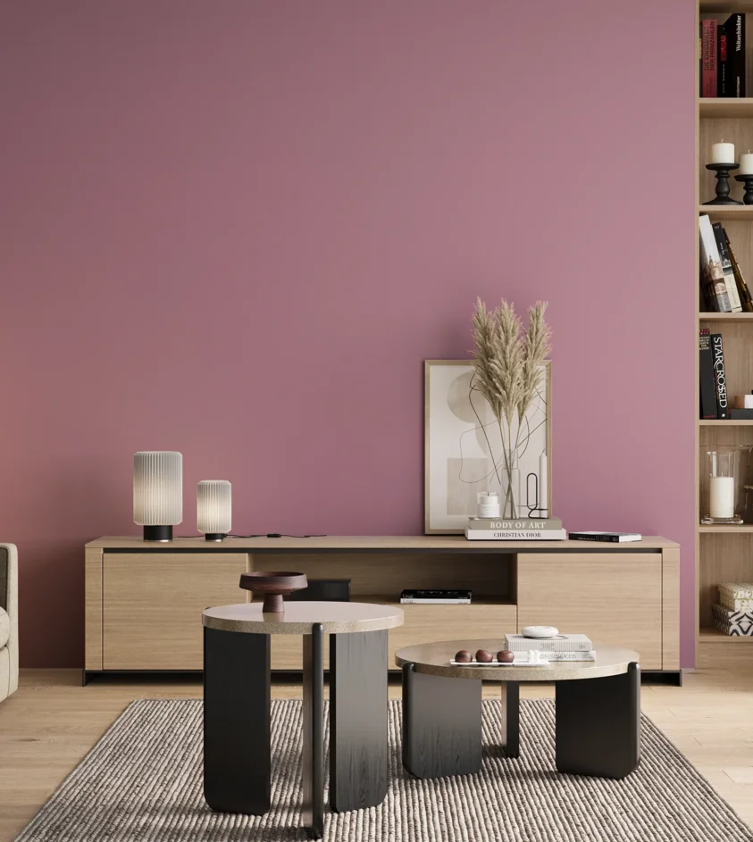 P10_SNIEZKA_salon_00_neutral_GREY_S2030-R30B