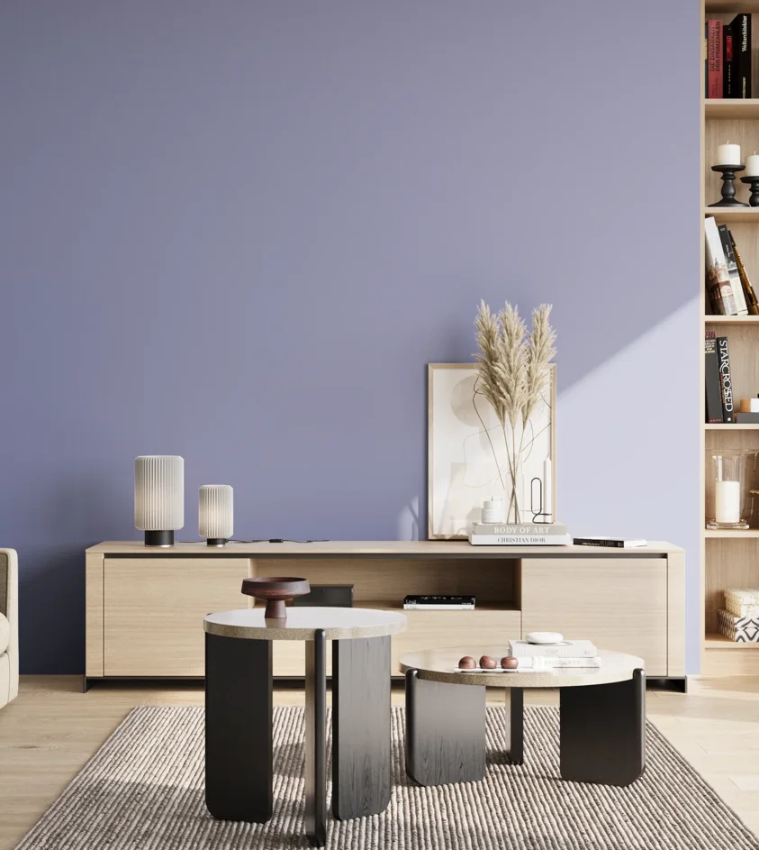 P10_SNIEZKA_salon_02_poludnie_GREY_S2030-R70B