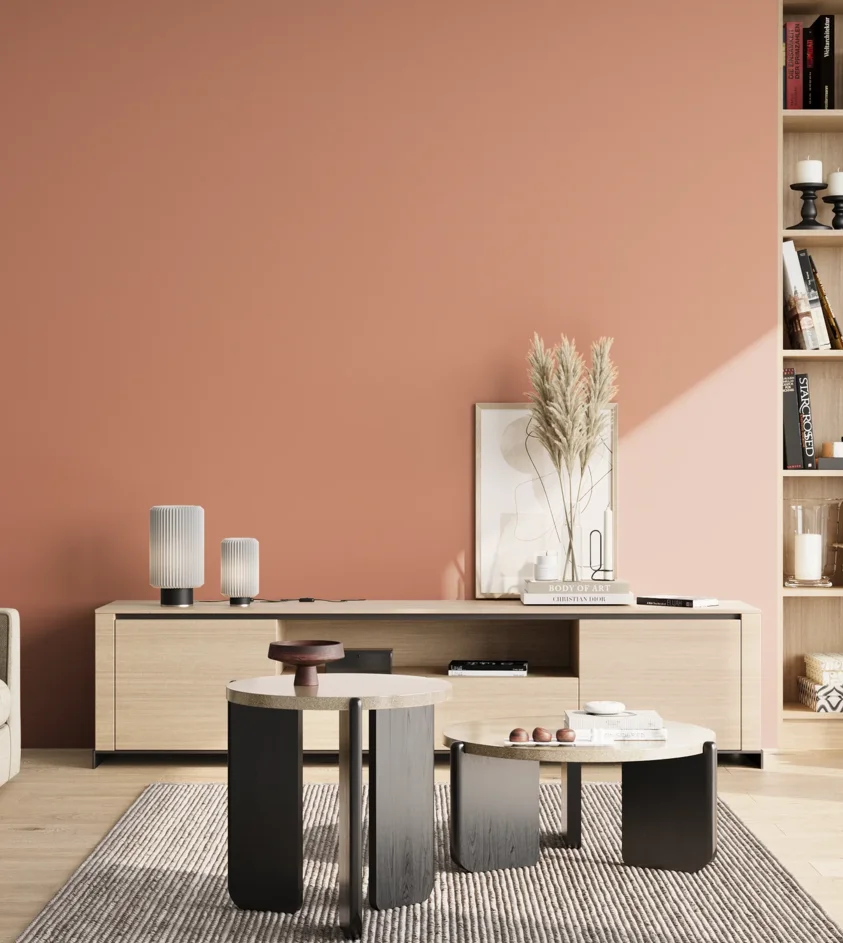 P10_SNIEZKA_salon_02_poludnie_GREY_S2030-Y70R