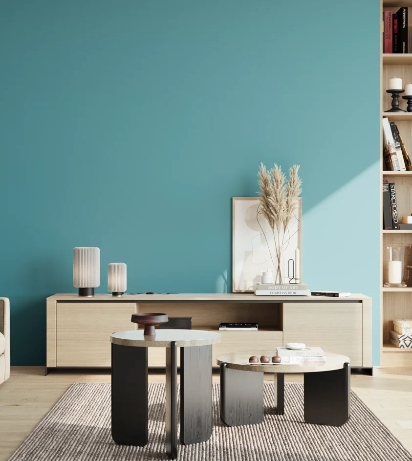 P10_SNIEZKA_salon_02_poludnie_GREY_S2040-B20G