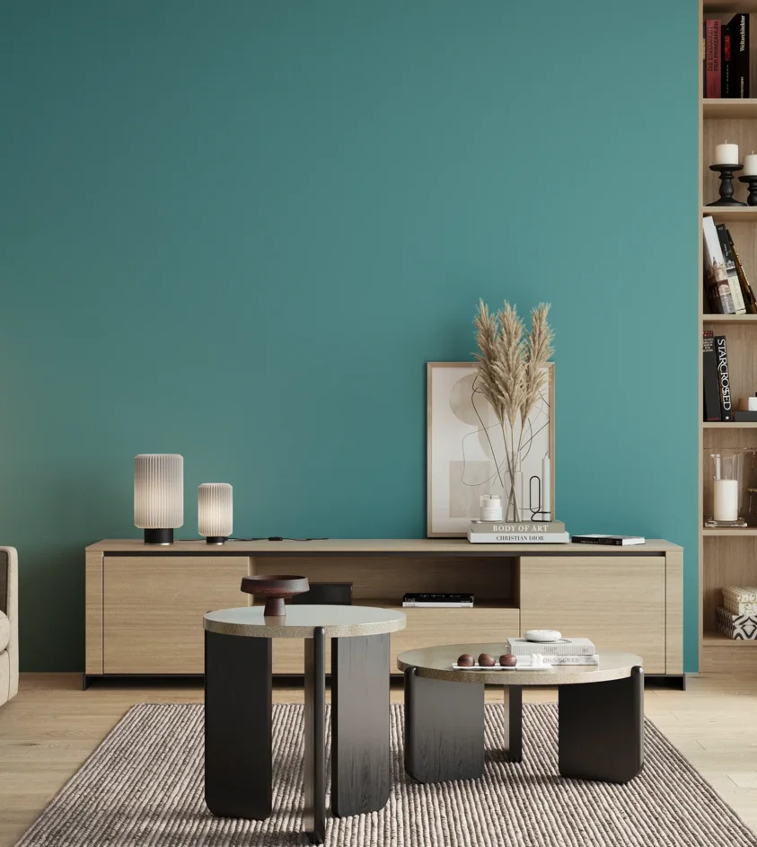 P10_SNIEZKA_salon_00_neutral_GREY_S2040-B30G