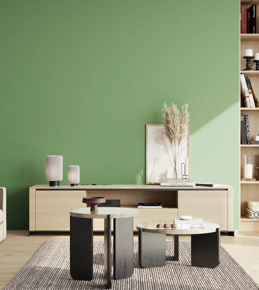P10_SNIEZKA_salon_02_poludnie_GREY_S2040-G20Y