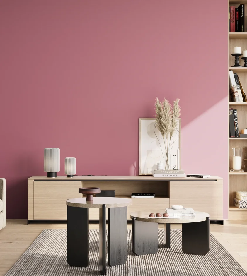 P10_SNIEZKA_salon_02_poludnie_GREY_S2040-R20B