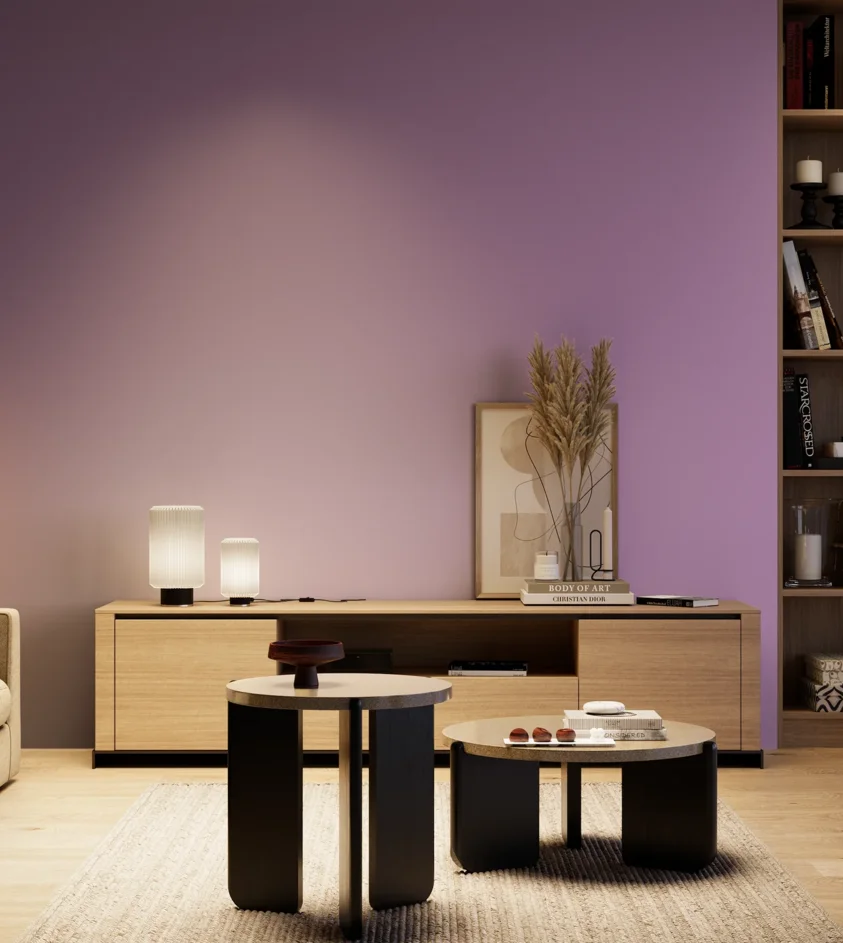 P10_SNIEZKA_salon_04_cieple_GREY_S2040-R50B