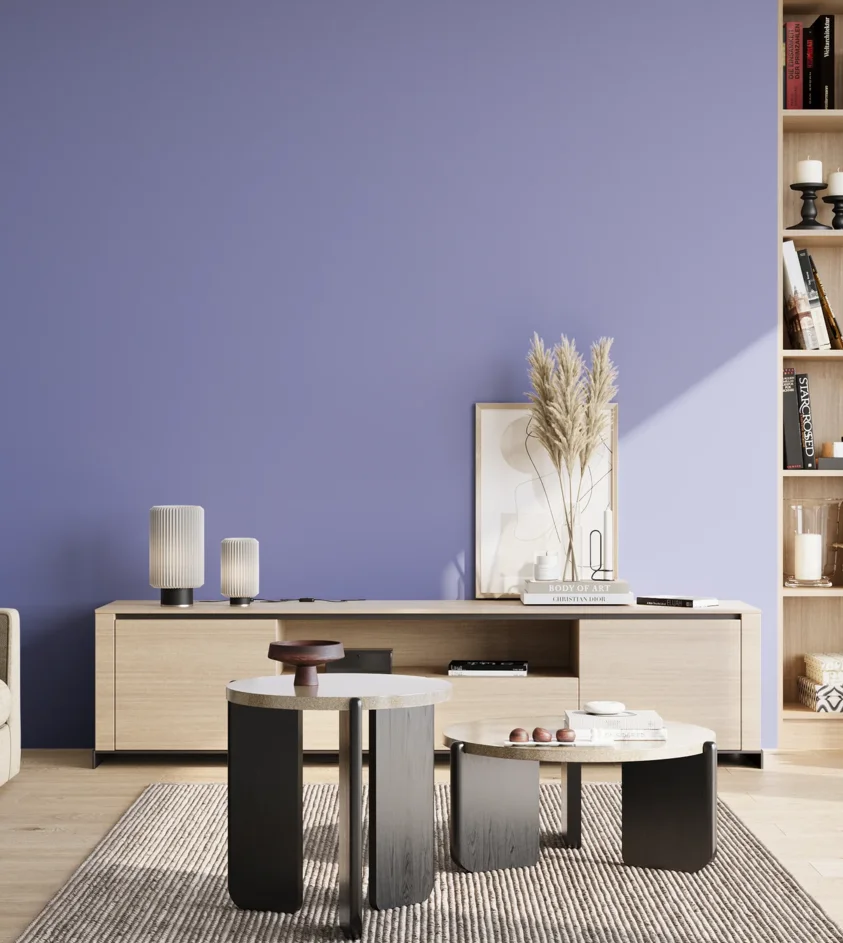 P10_SNIEZKA_salon_02_poludnie_GREY_S2040-R70B