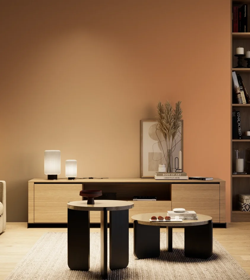 P10_SNIEZKA_salon_04_cieple_GREY_S2040-Y50R