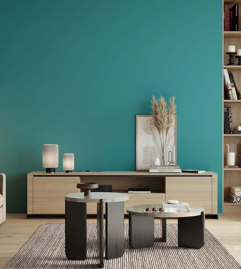P10_SNIEZKA_salon_00_neutral_GREY_S2050-B30G