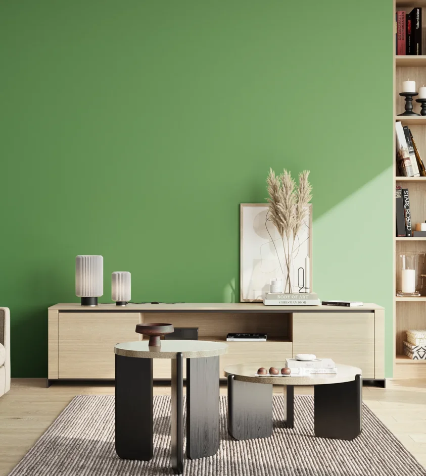 P10_SNIEZKA_salon_02_poludnie_GREY_S2050-G20Y