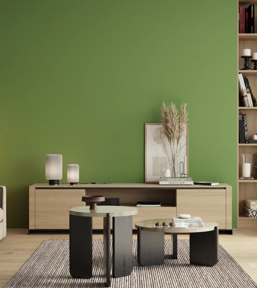 P10_SNIEZKA_salon_00_neutral_GREY_S2050-G30Y