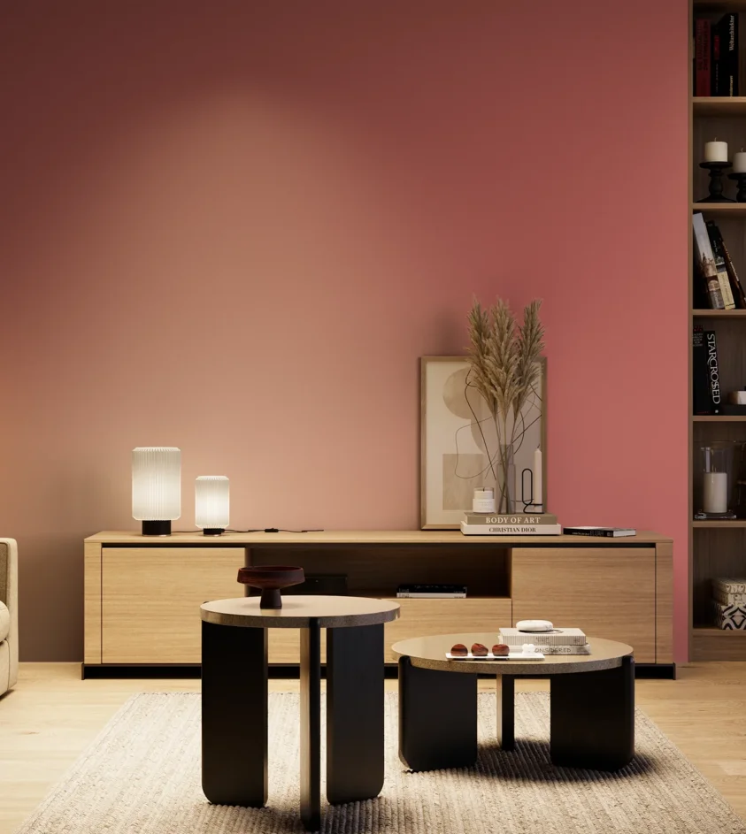 P10_SNIEZKA_salon_04_cieple_GREY_S2050-R