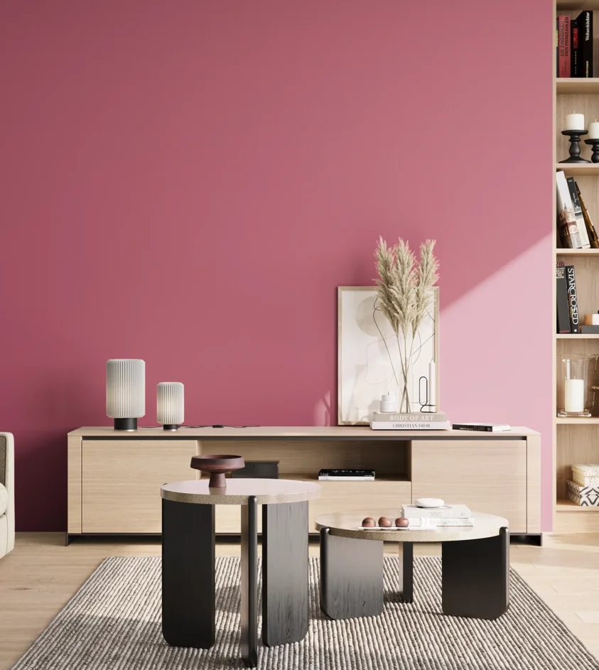 P10_SNIEZKA_salon_02_poludnie_GREY_S2050-R20B