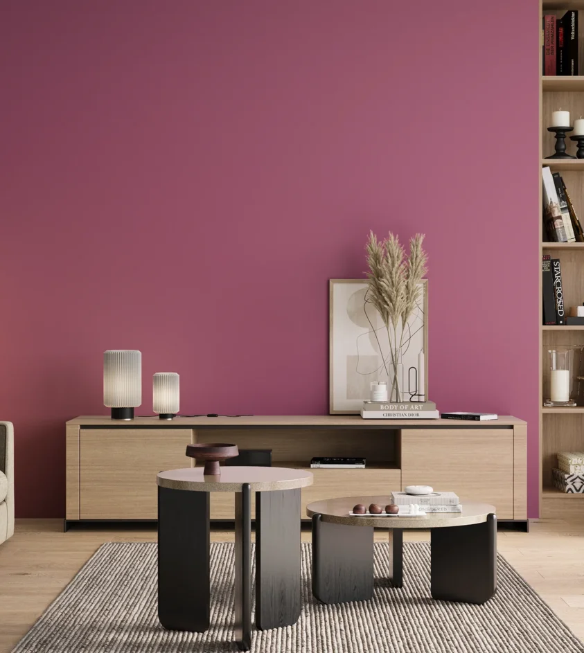 P10_SNIEZKA_salon_00_neutral_GREY_S2050-R30B
