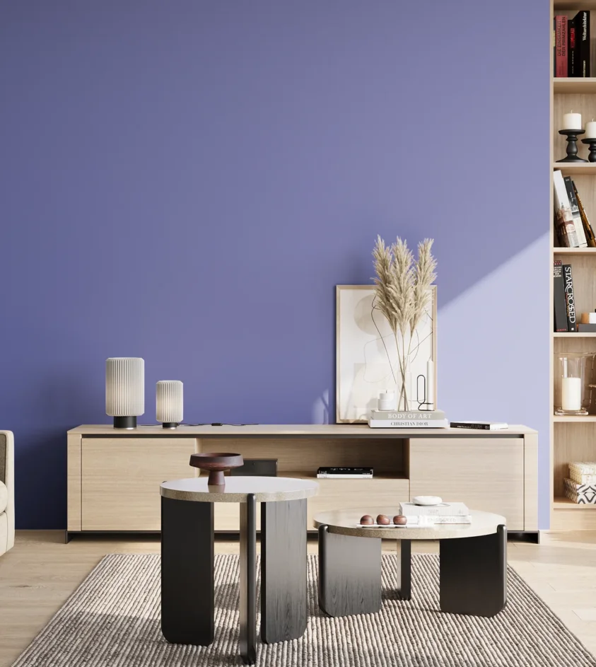 P10_SNIEZKA_salon_02_poludnie_GREY_S2050-R70B