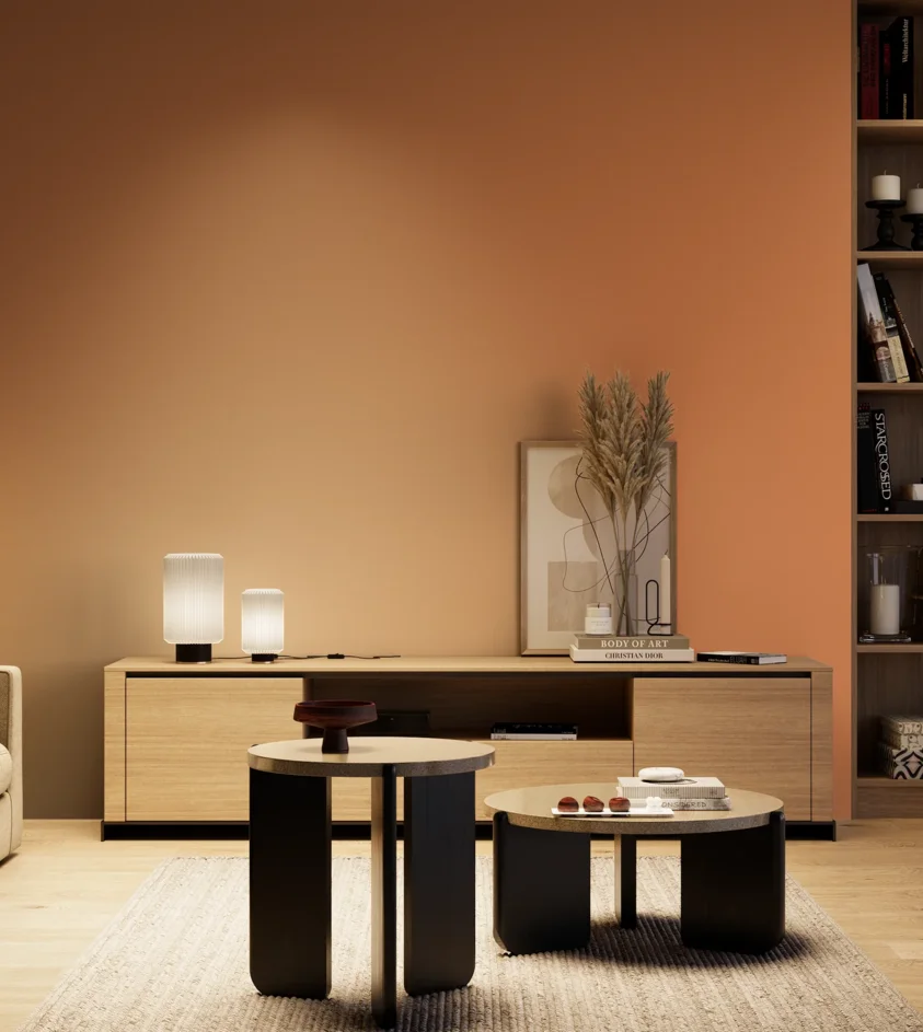 P10_SNIEZKA_salon_04_cieple_GREY_S2050-Y50R