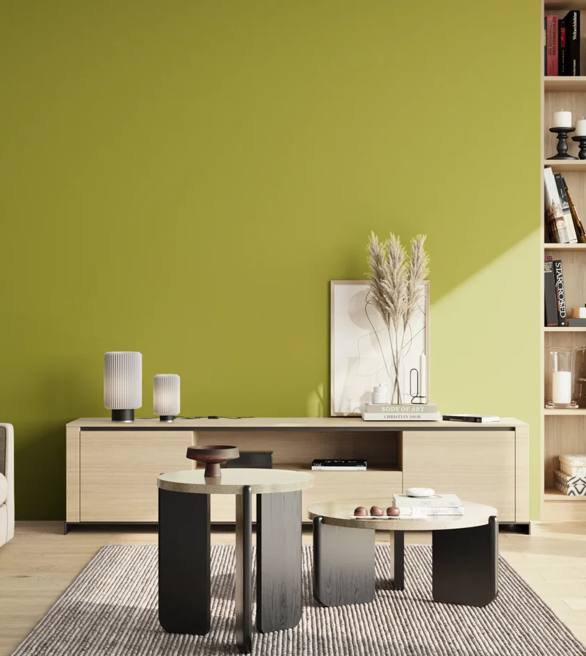 P10_SNIEZKA_salon_02_poludnie_GREY_S2060-G70Y
