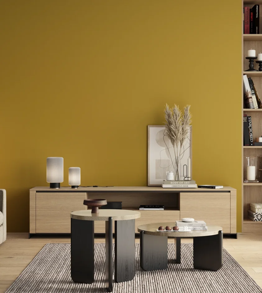 P10_SNIEZKA_salon_00_neutral_GREY_S2060-Y