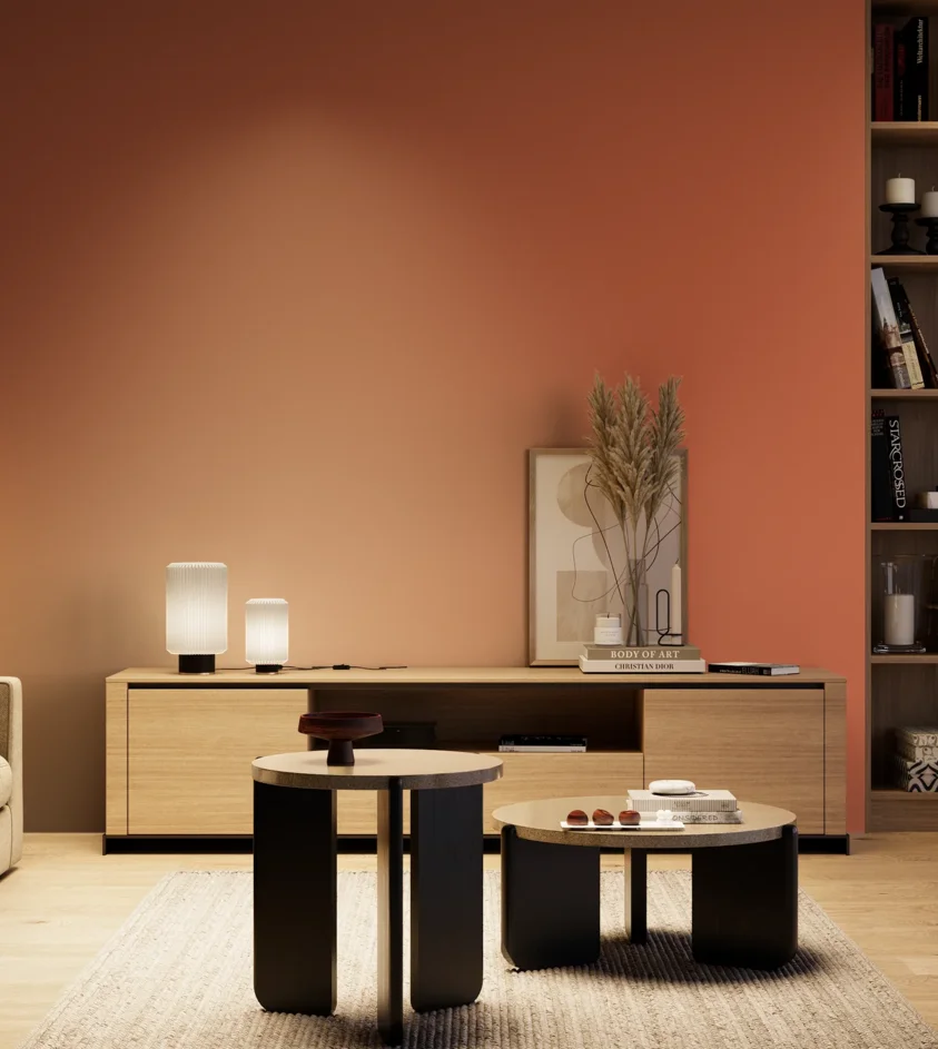 P10_SNIEZKA_salon_04_cieple_GREY_S2060-Y70R