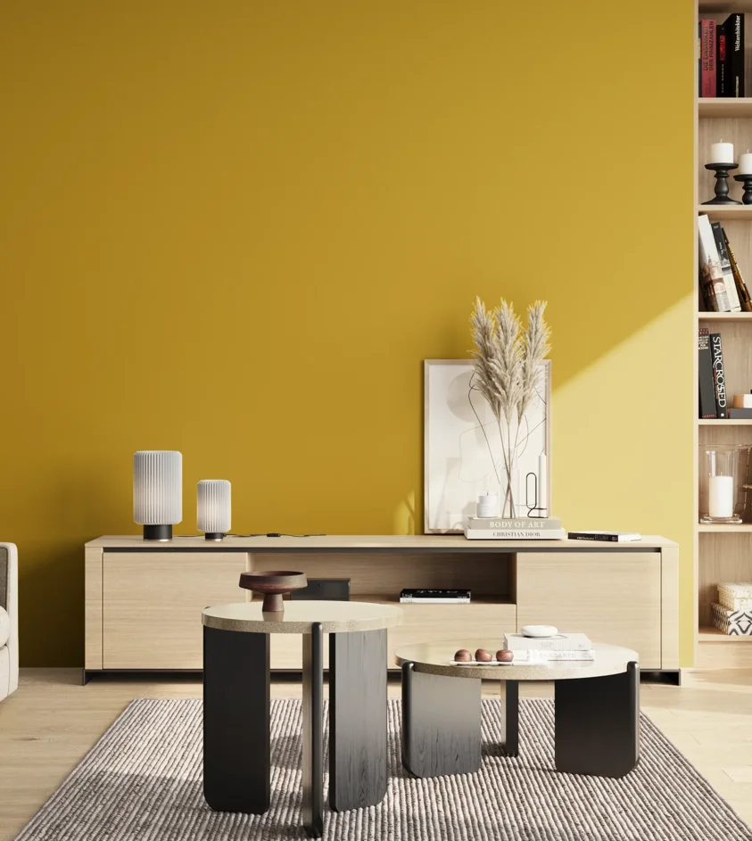 P10_SNIEZKA_salon_02_poludnie_GREY_S2070-Y