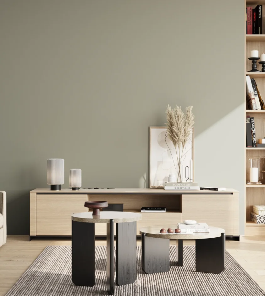 P10_SNIEZKA_salon_02_poludnie_GREY_S3005-G50Y