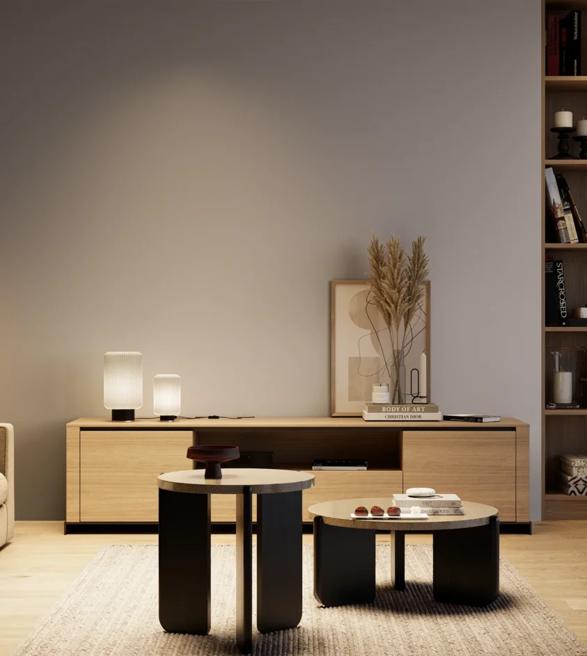 P10_SNIEZKA_salon_04_cieple_GREY_S3005-R50B