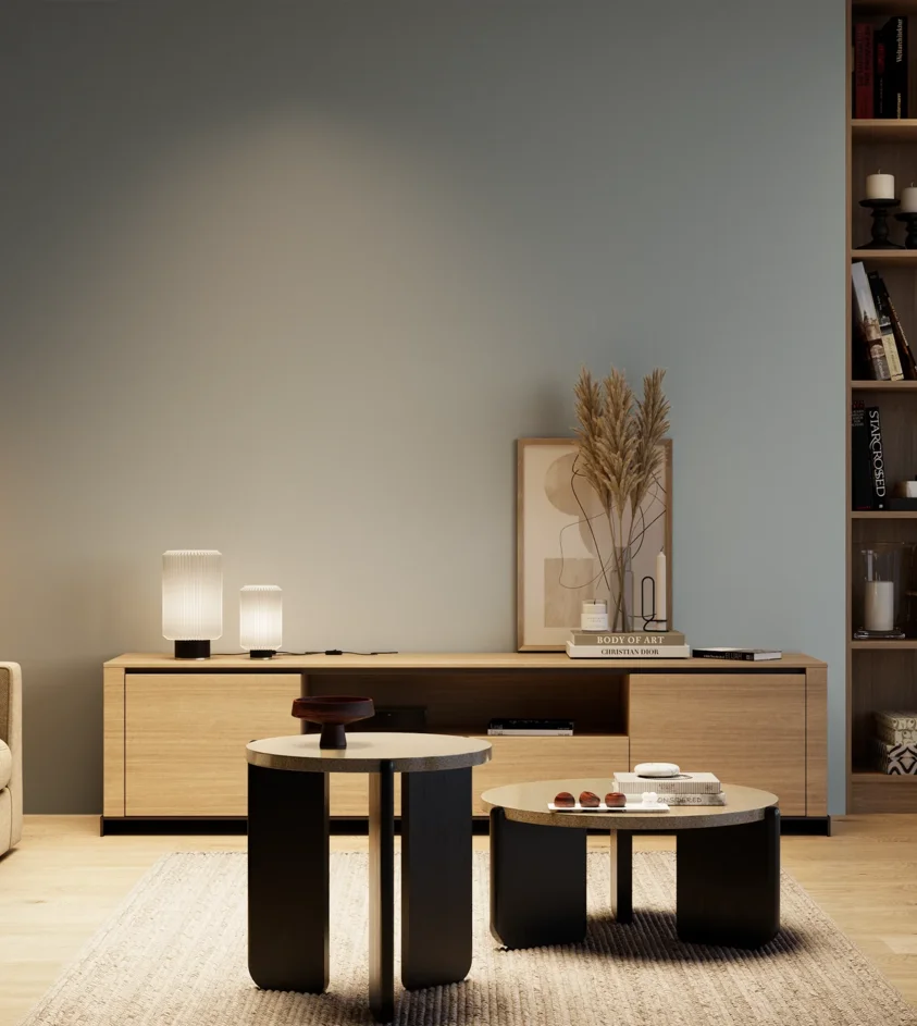 P10_SNIEZKA_salon_04_cieple_GREY_S3010-B