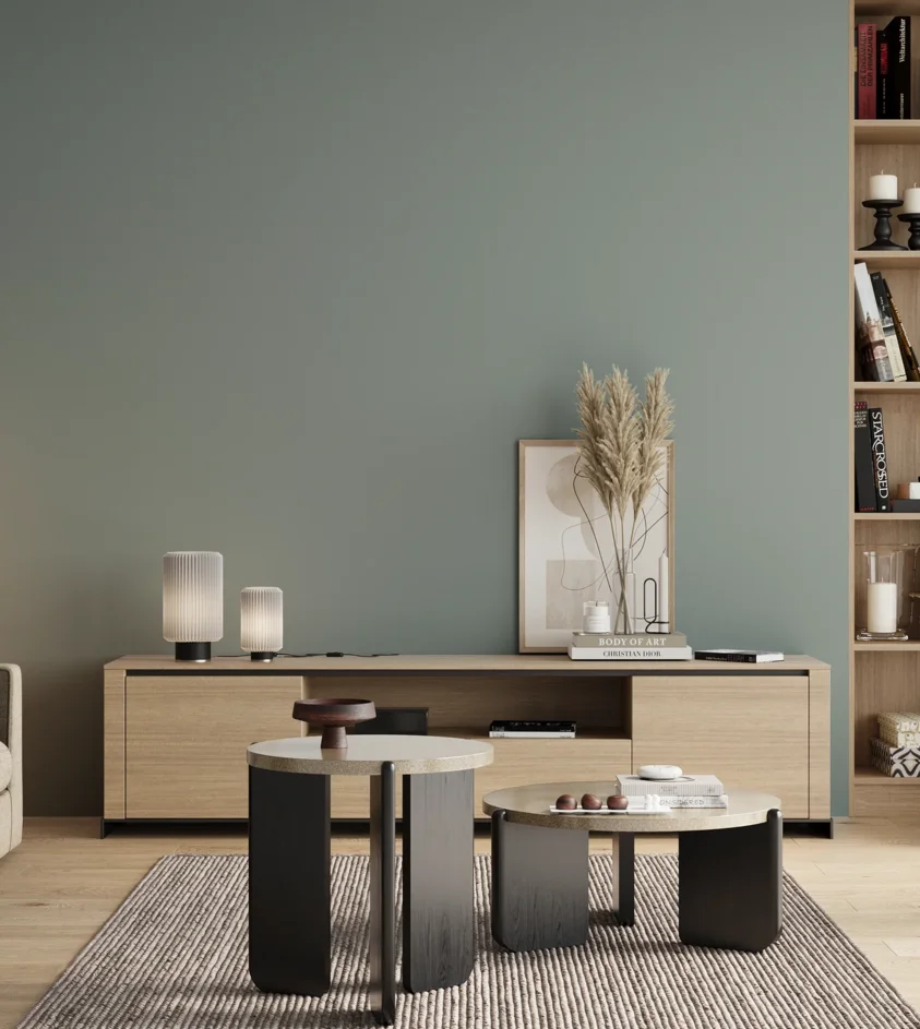 P10_SNIEZKA_salon_00_neutral_GREY_S3010-B50G