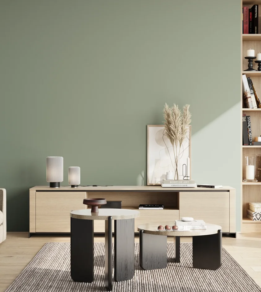 P10_SNIEZKA_salon_02_poludnie_GREY_S3010-G10Y