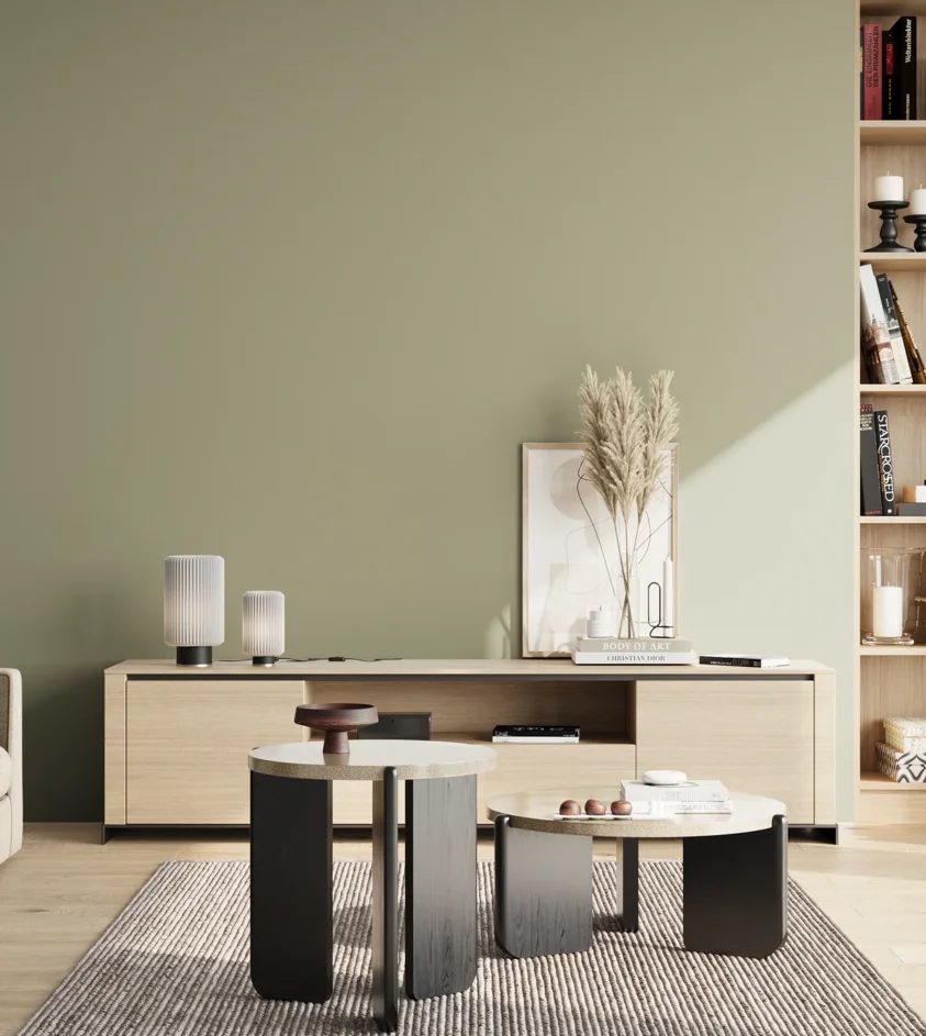 P10_SNIEZKA_salon_02_poludnie_GREY_S3010-G60Y